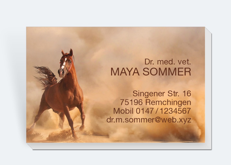 100 Motiv Visitenkarten Araber-Pferd