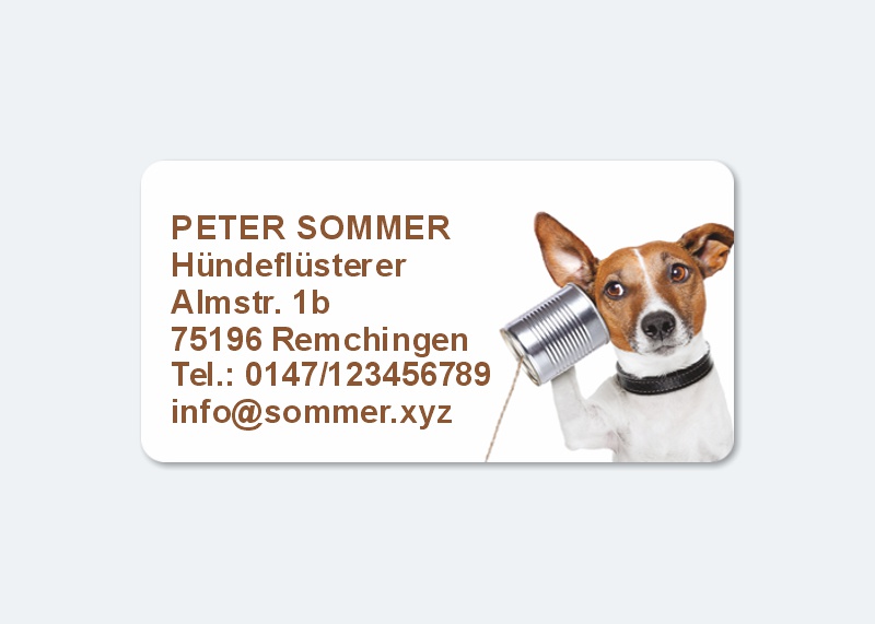 168 Adressaufkleber MAXI-Motiv Hund