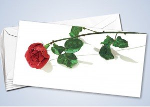 50 Grußkarten "Einzelrose" 
