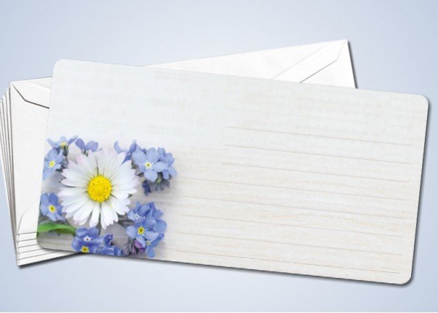 50 Briefkarten "Gänseblümchen" 